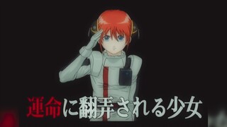 银魂什么时候上映这个