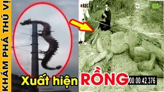 🔥 Top 5 Sinh Vật Thần Thoại Từng Bị Camera Quay Lại Ngoài Đời Thực | Khám Phá Thú Vị