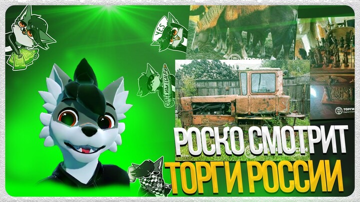 🐺 Роско смотрит ТОРГИ-РОССИИ.РФ