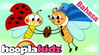 Bee Finger Family In Bahasa | Lebah Jari Keluarga |  Sajak Anak Anak & Lainnya | HooplKidz Bahasa