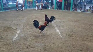 galing talaga Ng palahing haphap