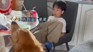 A puppy's love is so straightforward!