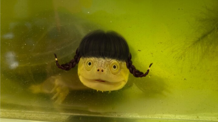 I Went Viral Just Because I’m Ugly