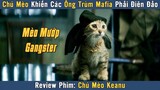[Review Phim] Chú Mèo Mướp Khiến Các Ông Trùm Băng Đảng Phải Điên Đảo | Key & Peele