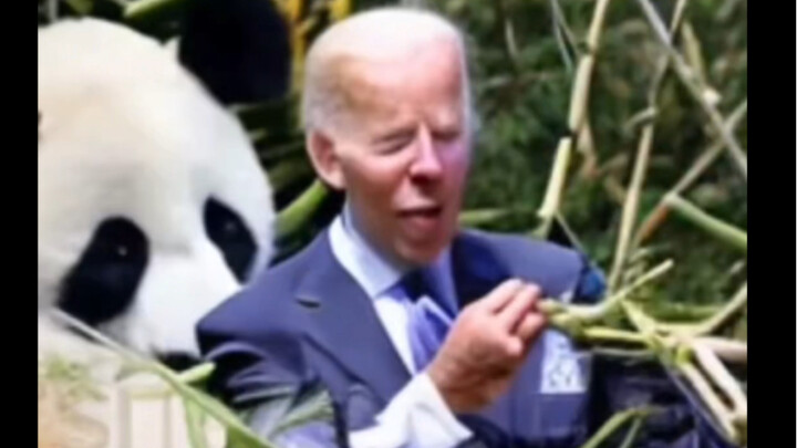 [AI-generated] Biden devoured all the bamboo at the Memphis Zoo, leaving Ya Ya with none and causing