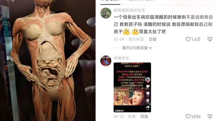 Bản tiêu bản cơ thể người dành cho bà bầu này có tên là “Công chúa”, lẽ nào lại có mẹ nào đồng ý để 