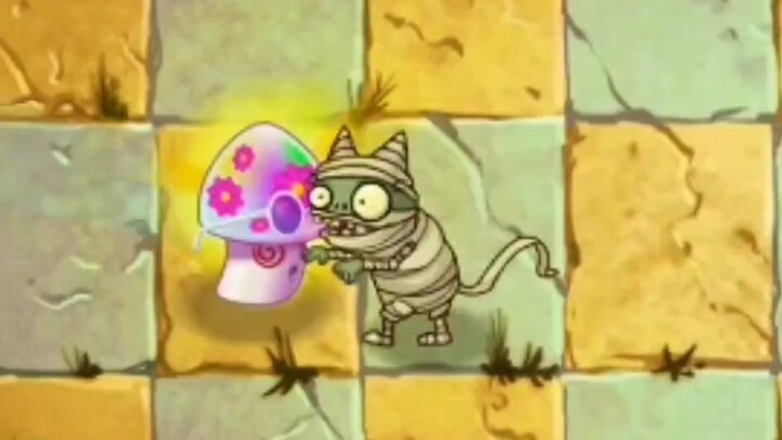 Left home young, returned old.