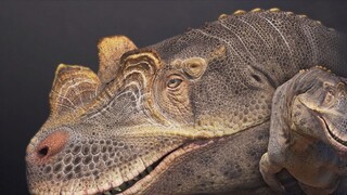 CGdemo Ceratosaurus 2025