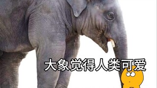 【البيض المخفوق】هل يمكن أن تكون هذه مربية بشرية...!؟؟
