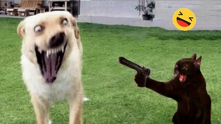 Funniest Cats And Dogs Videos 😁 - Best Funny Animal Videos 2023 🥰