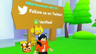 Getting Verified Pet Simulator X Roblox