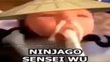 Ninjago Sensei Wu.