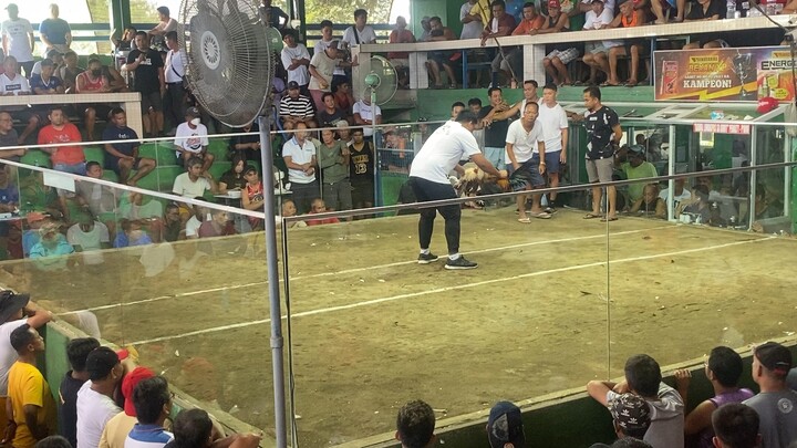 Magtito Gamefarm Black, 2hits Malabon Grande - Win