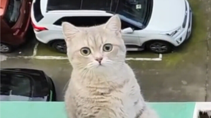 It feels like it’s about to start talking any second now!