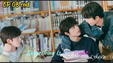 🇰🇷[BL]SOMETHING IS NOT RIGHT EP 08 finale(engsub)2025