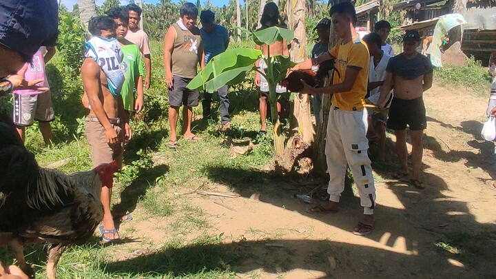 4x winner na ni panot .