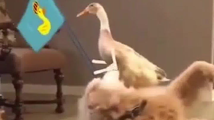 ฉันได้ทำเครื่องหมายสถานที่หนึ่งไว้แล้ว