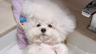 كما أنها خبّأت بشكل خفي قطعةً من الـp بهدف تعريقي...