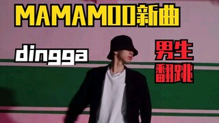 【奶糖】MAMAMOO新曲《dingga》男生翻跳