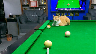 Bạn đã học được chưa?