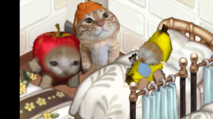 Mèo Chuối cuối cùng cũng đã ngủ ngon một giấc.