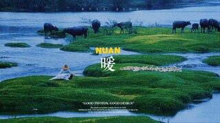 【冷门佳作鉴赏】“现在好像很难再看到这样的中国乡村美学了。”