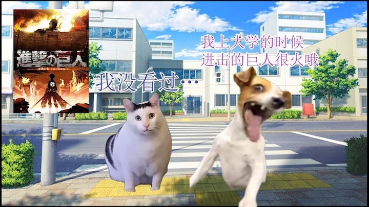 【猫meme】关于领导试图和我聊动漫的事