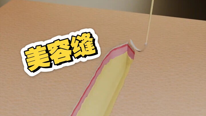 Let's take a look at what "beauty stitching" is like!