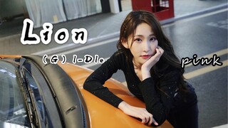 【SING陈丽】翻跳（G）l-Dle《Lion》