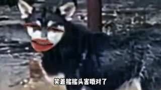 Sincerity is the ultimate killer move.