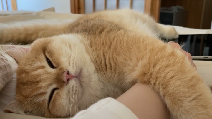 Getting ready to sleep!