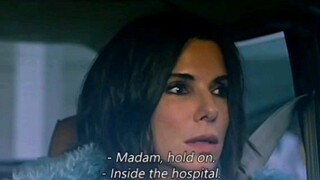BirdBox