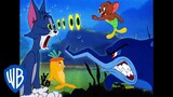 Tom & Jerry em Português | Brasil | Criaturas da Água 🐠🐳 | WB Kids