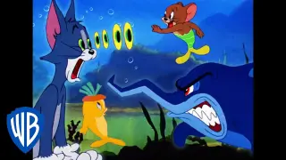 Tom & Jerry | Water Creatures 🐠🐳 | Classic Cartoon Compilation | WB Kids