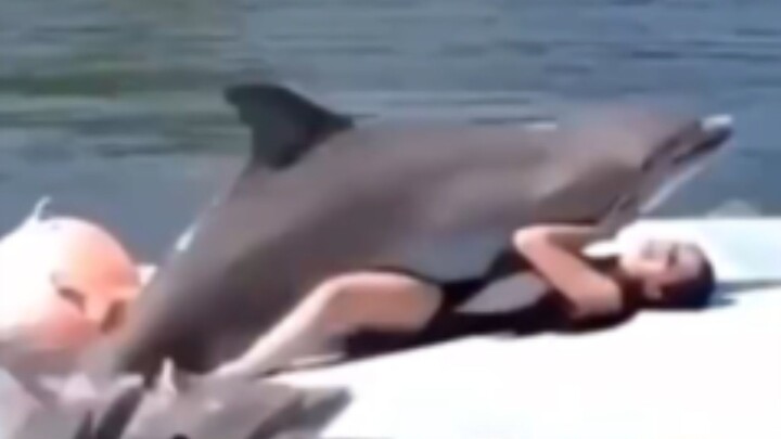 Con người đã làm bừa bộn cả sàn