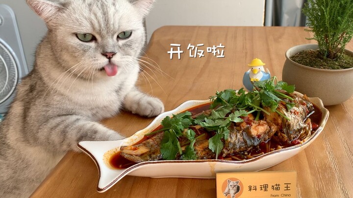 Elvis Cooked Braised Fish and Subverted the Usual Pet-Owner Dynamic!
