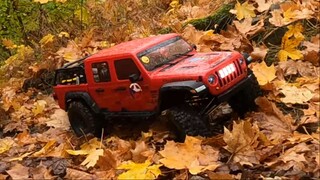 ⚠️RC CAR EXPEDITION⚠️ KRCSKY LES #9 - Axial SCXIII, roots&leafs / RC Driver Studio