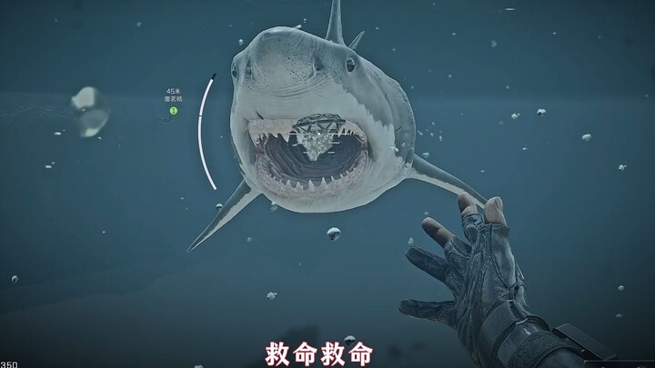 Tên đồ đệ khốn nạn làm đủ thứ chuyện ngu ngốc, khiến tao phải im lặng chịu đựng.