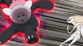 Pokémon 丨 Hanya dewa beruang yang bisa mengalahkan kumbang ganas, bukan?