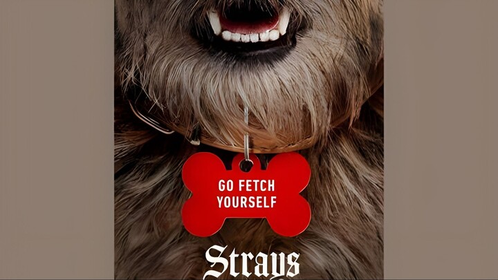 Strays Watch Full Movie: Link in Description