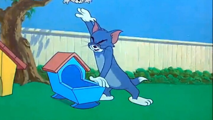 "Don't Ask the Sky", but "Tom and Jerry"