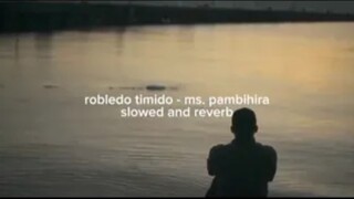 robledo timido - ms. pambihira (slowed + reverb)