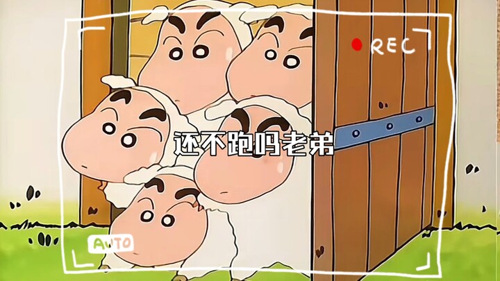 还不跑吗老弟