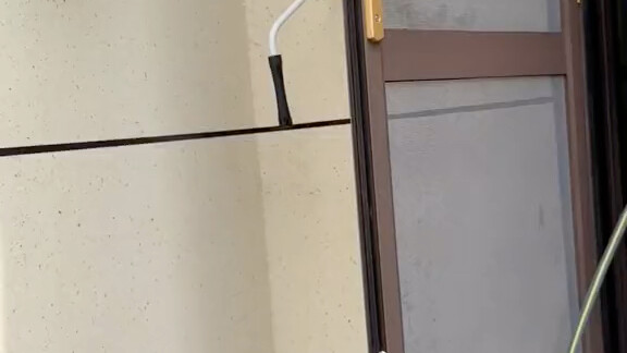 E Jia Ban, So Much Fun