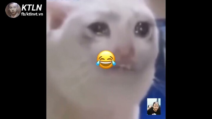 tổng hợp ktln các chúa hề ngoài đời thực p137 - KTLN #ktln