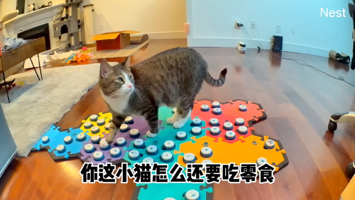 If you say “trick or treat” for candy, what do you say for snacks?