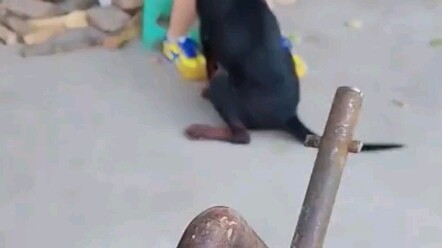 Ada beberapa cewek yang begitu bertenaga!