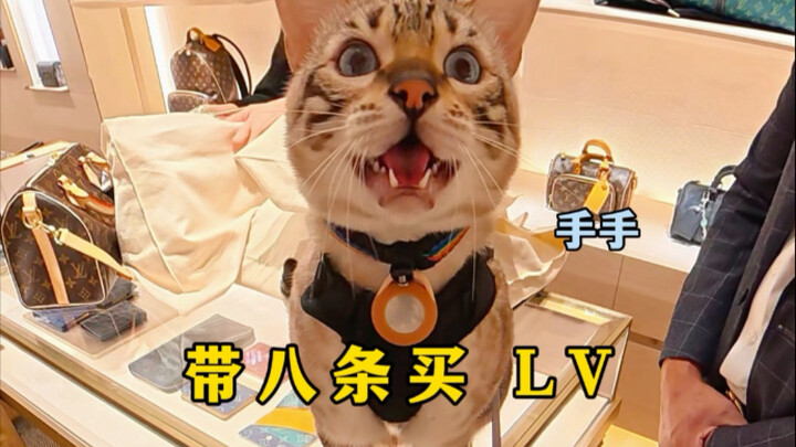 Bát Điều cuối cùng cũng mua được LV rồi~