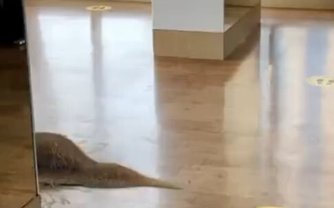 ค่าซานลดลงเล็กน้อย