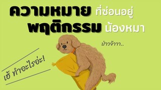 20 พฤติกรรมน้องหมากับความหมายที่ซ่อนอยู่ ที่จะช่วยให้คุณเข้าใจสุนัขของคุณมากขึ้น #Ecobok
